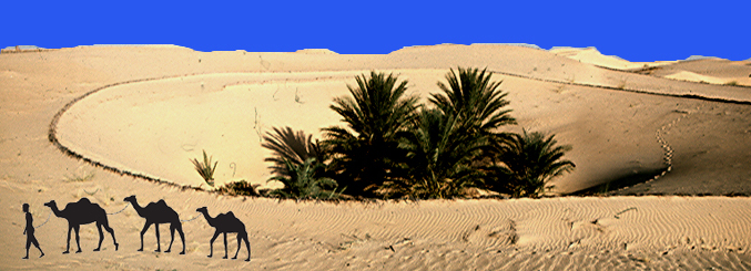 sahara panorama